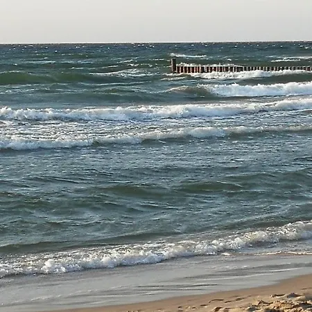 Coral Pięć Mórz *