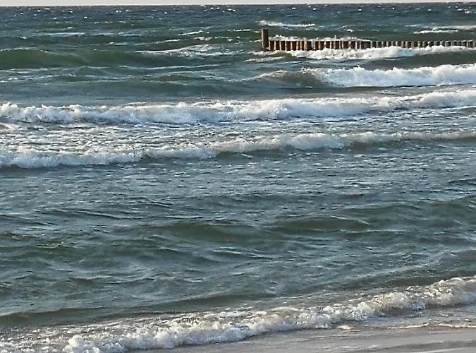 Coral Pięć Mórz *